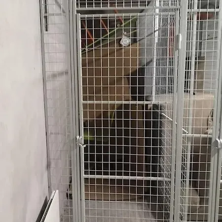 Funkelia Near Senter