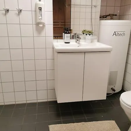 Funkelia Near Senter Διαμέρισμα Kongsberg